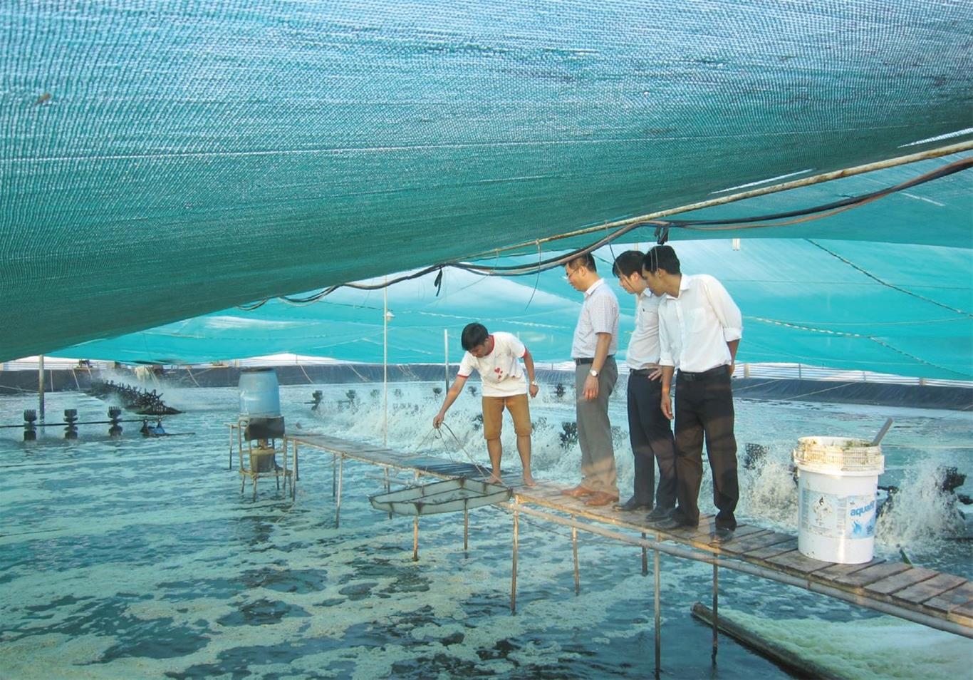 Chứng nhận  VIETGAP nuôi trồng thủy sản 
